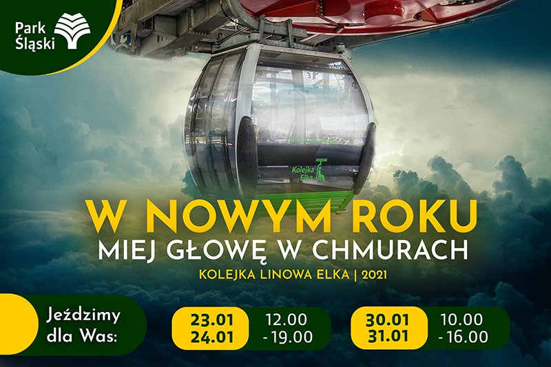 elka polowa stycznia